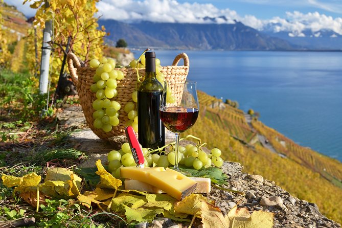 The Vine Tour (Private Tour) - Inclusions
