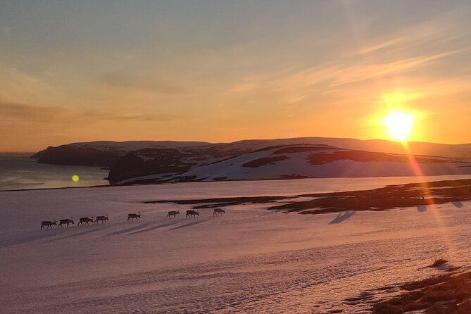 The VIP North Cape Tour (Honningsvåg - Skarsvåg - the North Cape) - Whats Included in the Tour