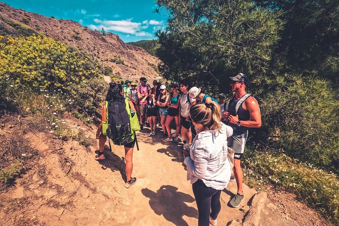 The Volcano Heart Tour: Hiking, Tasting and Sunset Experience - Meeting and Pickup