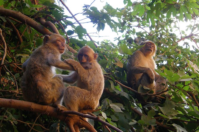 The Waterfalls of Ouzoud - Outdoor Activities at Ouzoud
