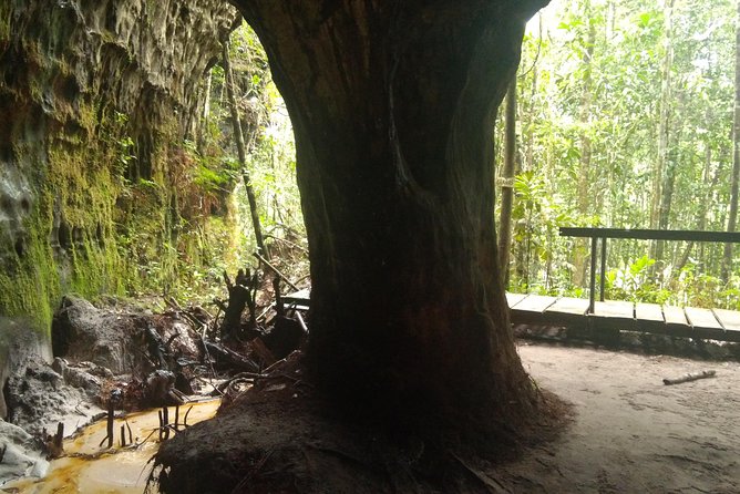 The Waterfalls of President Figueiredo - Day Tour in the Amazon - Tour Overview