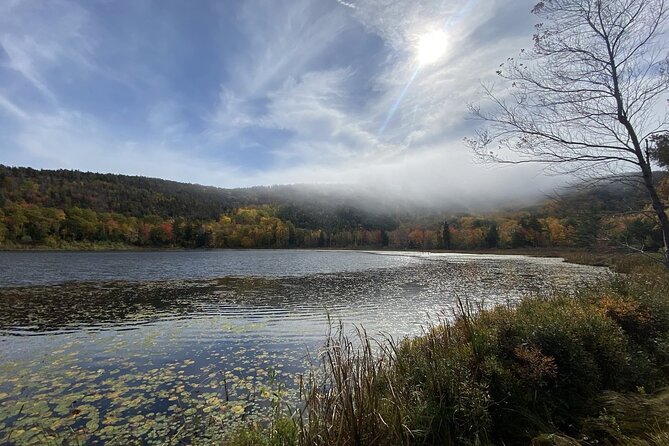 The Way Life Should Be: 4-hr, Private Guided Tour of Acadia NP. - Accessibility and Participation