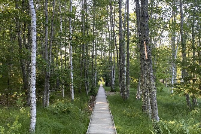 The Way Life Should Be: 4-hr, Private Guided Tour of Acadia NP. - Exploring Acadia National Park