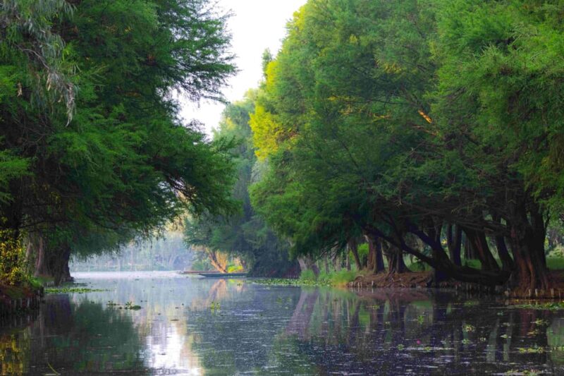 The Weeping Woman Xochimilco: Show, Legends and Trajineras Tour - Show Details