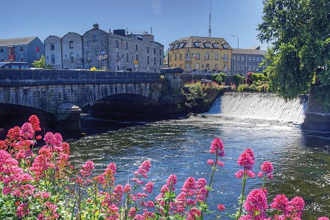 The Welcome to Galway Walking Tour - Tour Group Size and Accessibility