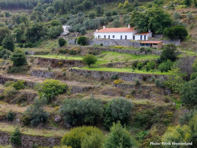 The Western Wild Algarve With a Luxury Picnic, 6 Hours. - Frequently Asked Questions