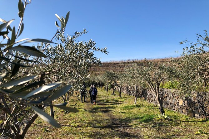 The White Lotus Experience • Sicily (Private Tour) - Review Summary