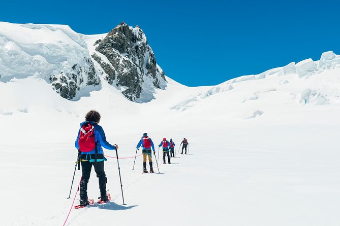 The Wigley: Top of the Tasman Glacier Hike - Trip Ratings and Reviews