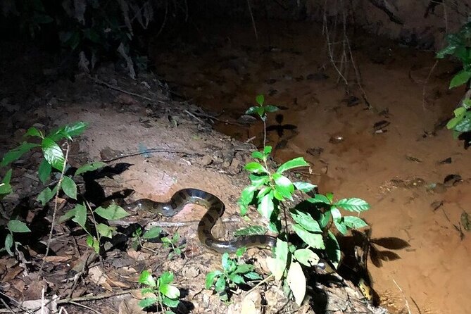 The Wild Adventure 4 Days Green Wild Amazon Expedition - Additional Information to Consider