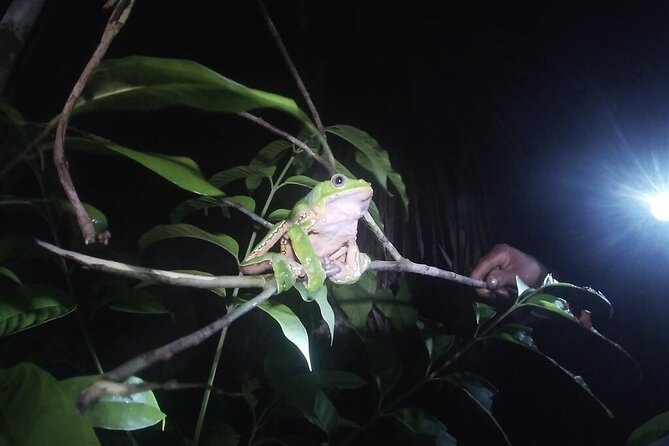 The Wild Adventure 4 Days Green Wild Amazon Expedition - Pickup and Accessibility