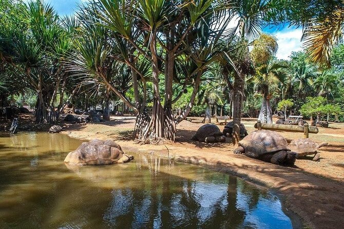 The Wild South Full Day Tour: La Vanille Nature Park, Gris Gris - Tour Details