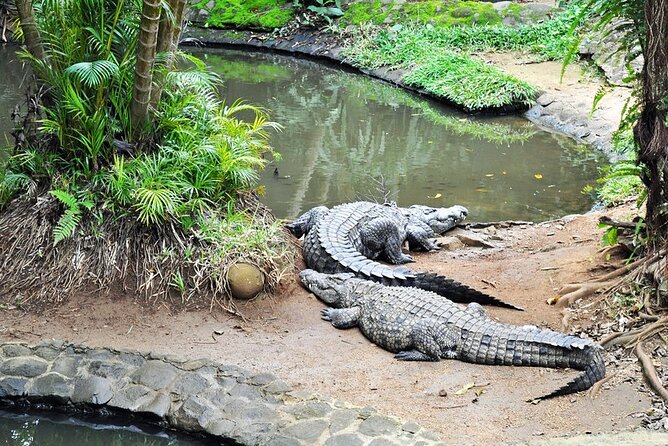 The Wild South Full Day Tour: La Vanille Nature Park, Gris Gris - Lunch Options