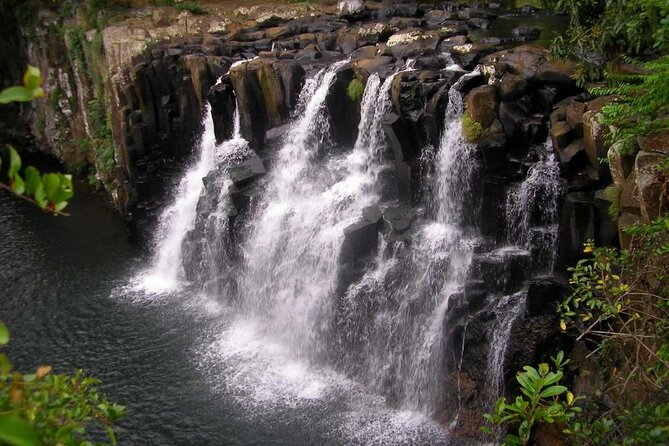 The Wild South Full Day Tour: La Vanille Nature Park, Gris Gris - Customer Reviews