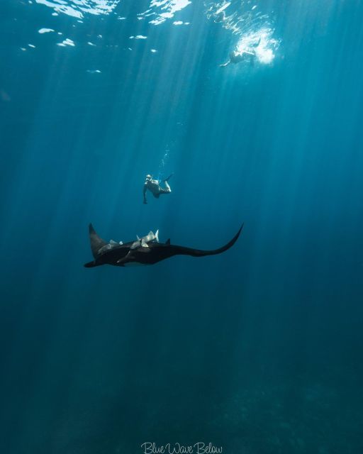 The Window: Manta Ray Dive at La Reina - Dive Gear and Safety