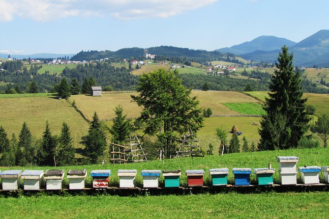 The Wine Route by Bike - Booking Details