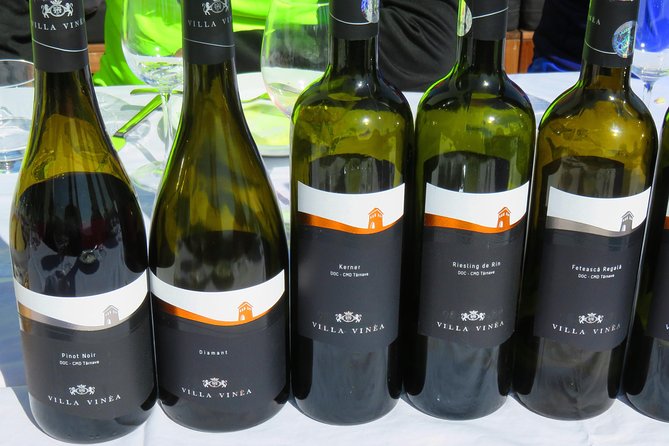 The Wine Route by Bike - Unique Bike Experience