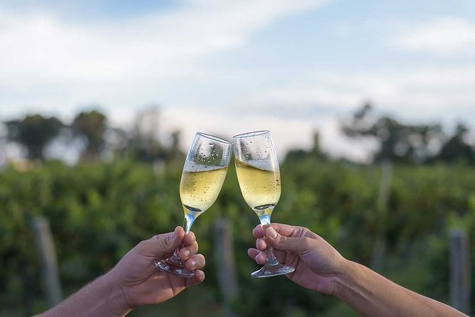 The Wine Route From San Juan - Key Tour Features and Inclusions