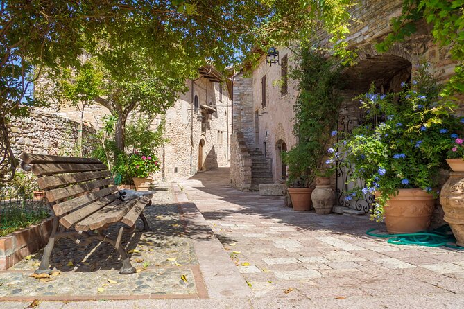 The Wonders of Assisi Private Walking Tour - Memorable and Inspiring