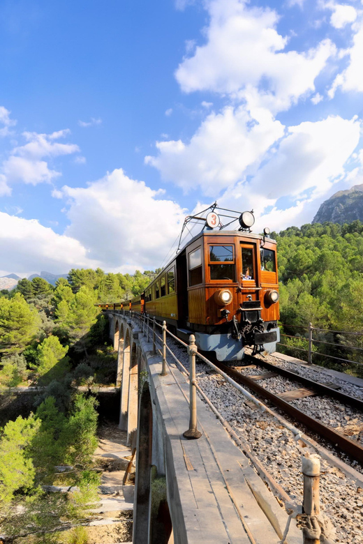 The Wonders of Soller Village at Tramuntana Half Day Tour - Important Information