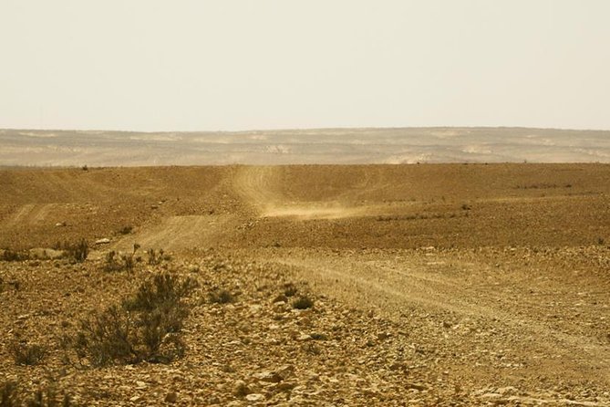 The Wonders of Tunisia: 8 Days / 7 Nights - Booking and Cancellation