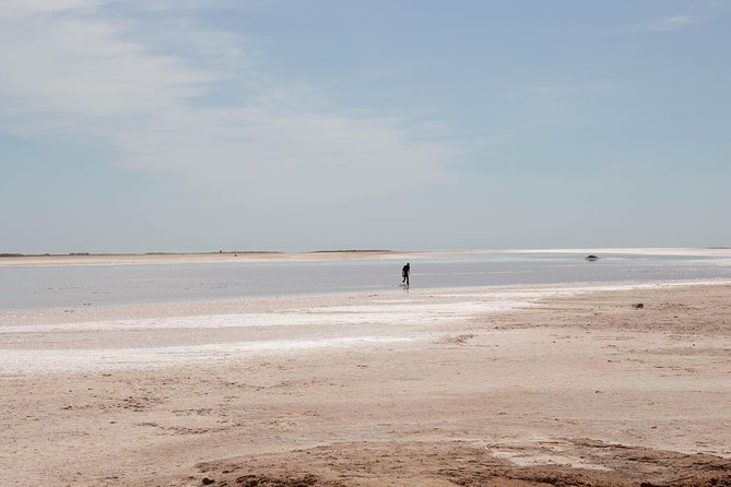 The Wonders of Tunisia: 8 Days / 7 Nights - Traveler Reviews and Feedback