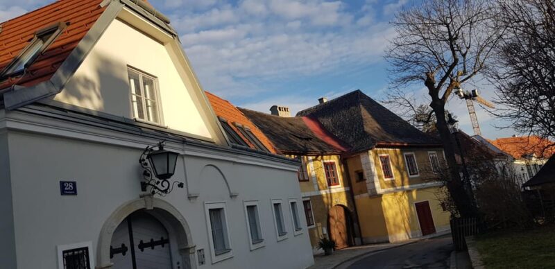 The Wonders of Vienna in a Full Day - Private Car Tour - Wiener Gemeindebauten and Workers Architecture