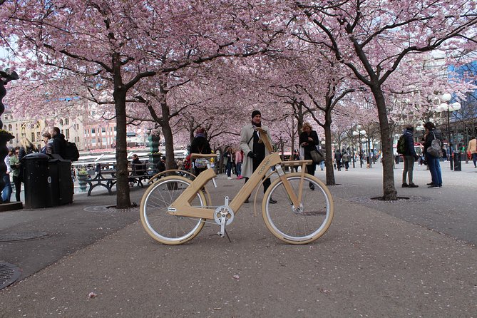 The Wooden Bicycle Tour in Stockholm - Participant Requirements and Restrictions