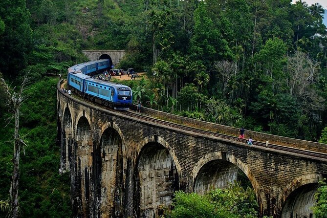 The World's Most Beautiful Train Trip Kandy to Ella Private Day Tour - Trekking Through Horton Plains