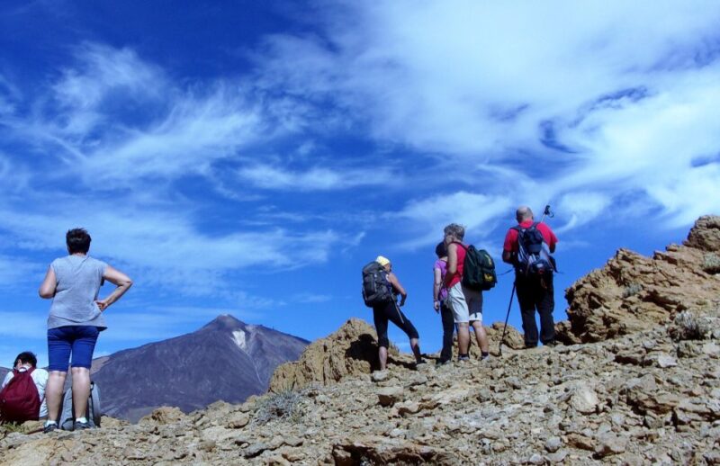The Wow Factor Walk - Scenic Landscapes