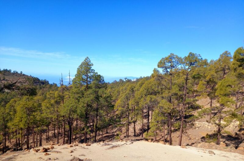 The Wow Factor Walk - Barranco Crossings