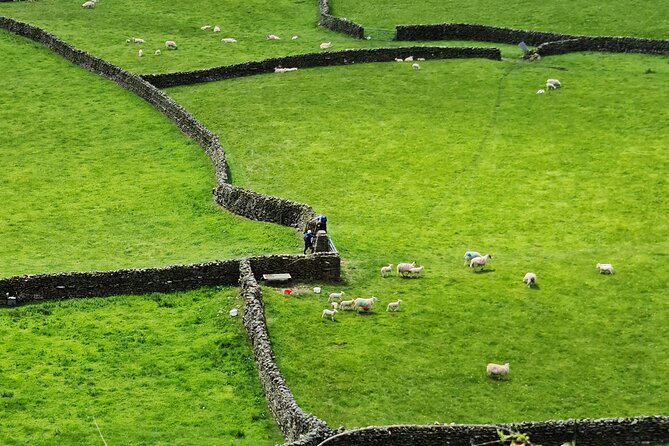 The Yorkshire Dales of All Creatures Great & Small - Scenic Yorkshire Dales Landscapes