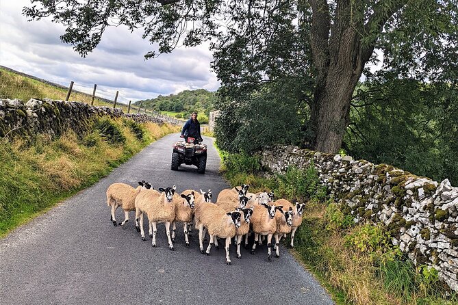 The Yorkshire Dales of All Creatures Great & Small - Transportation and Group Size