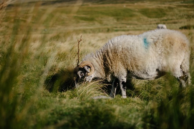 The Yorkshire Dales Tour From Windermere - Historical Sites Explored