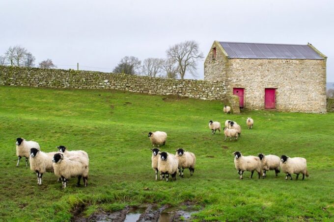 The Yorkshire Dales Tour From York - Grassington Adventure
