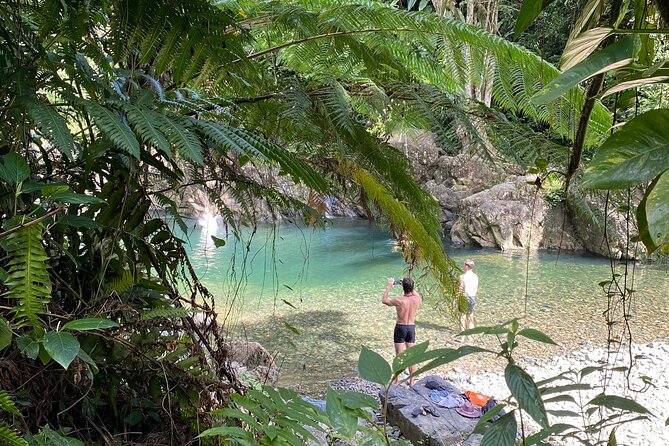 The Yunque Hike Adventure to Las Tinajas Waterfall From Fajardo - Guides and Tour Inclusions