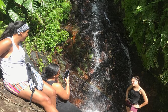 The Yunque Hike Adventure to Las Tinajas Waterfall From Fajardo - Guest Feedback and Recommendations