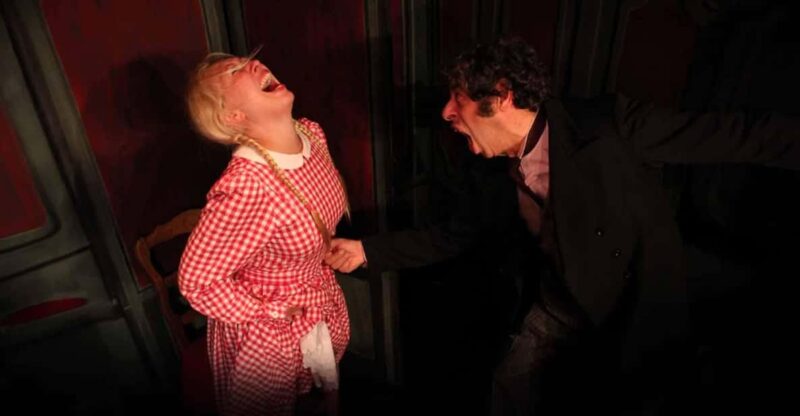 Theatre in Paris: the Lesson (La Leçon) - Show Description