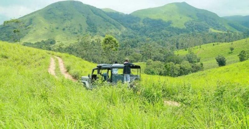 Thekkady Adventure: Off-Road Jeep Safari & Vagamon Tour - Included Services