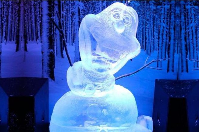 Thematic Park Ice World in Canela Admission Ticket - Unique Ice-Themed Attractions