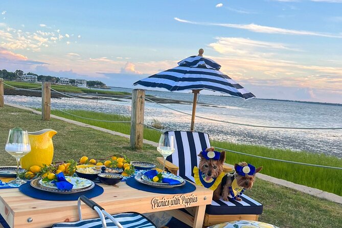 Themed Luxury Picnics in Charleston, South Carolina - Curating the Perfect Setup