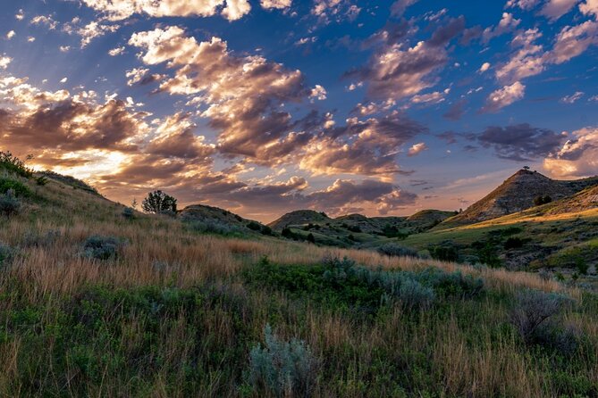 Theodore Roosevelt National Park Audio Tour Guide - Accessibility Information