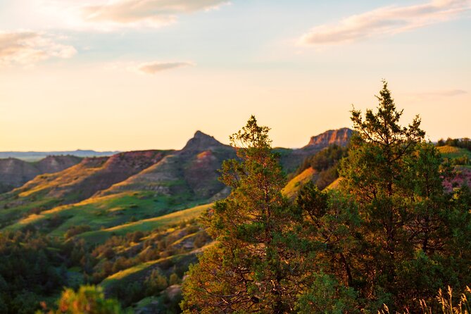 Theodore Roosevelt National Park Self-Guided Driving Audio Tour - Positive Customer Feedback