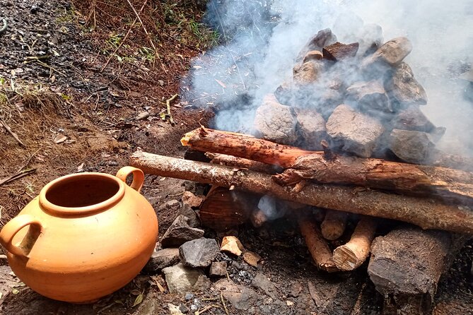 Therapeutic Temazcal: Harmony and Rebirth in the Forest - Overview of Therapeutic Temazcal