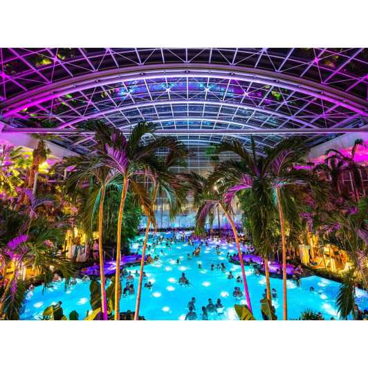 THERME BUCHAREST - TRANSFER + 4.5 HOURS ENTRANCE TICKET - Transportation Details