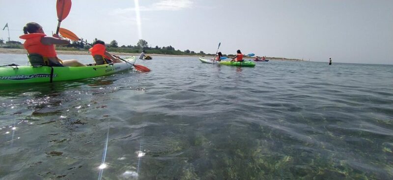 Thessaloniki Beach Activities With Optional Transfer - Facilities and Amenities