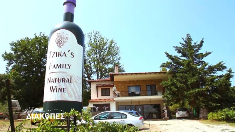 Thessaloniki Day Trip to Petralona Cave,Afytos& Wine Tasting - Itinerary Details