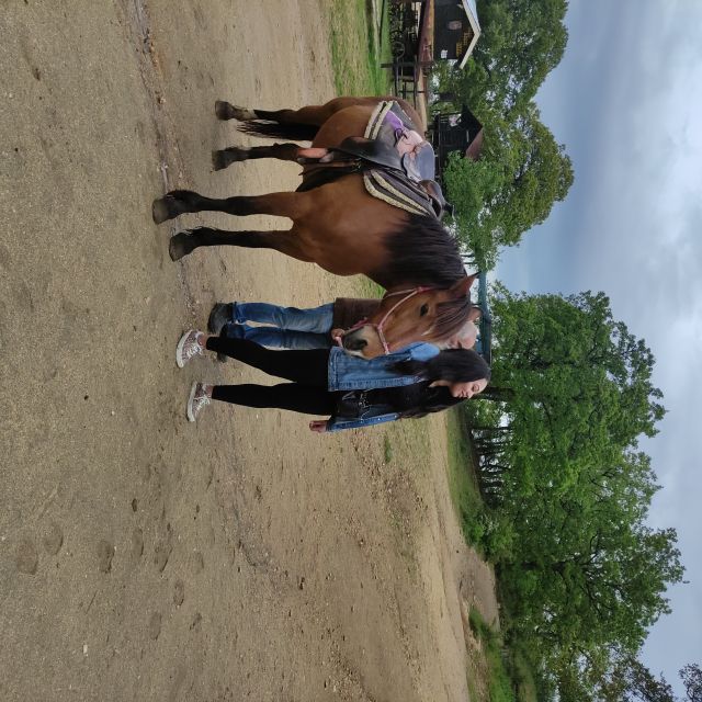Thessaloniki: Farm Visit and Horse Riding - Getting to the Farm