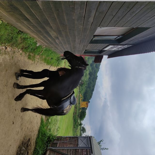 Thessaloniki: Farm Visit and Horse Riding - Cancellation Policy