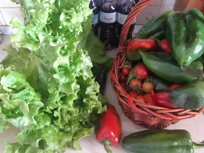 Thessaloniki: Private Greek Cooking Class and Meal at a Farm - Learning Greek Gastronomy Secrets