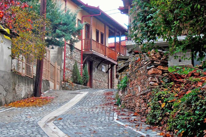 Thessaloniki to Naoussa, Wine Tasting Tour – Private Day Trip - Costs and Inclusions
